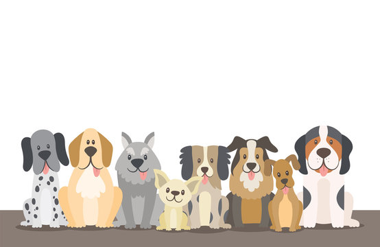 Herd of dogs background illustration with editable blank space. Sat dogs in front view position. Vector illustration.