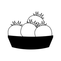 Tomatos on basket vector illustration graphic design vector illustration graphic design