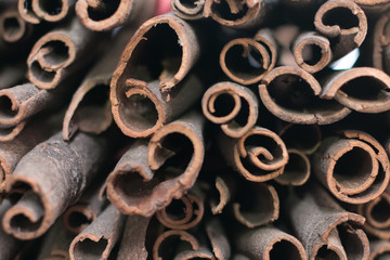 Cinnamon sticks close up