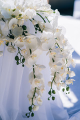 wedding decorations and a wedding arch for the ceremony