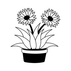 Flowers in pot vector illustration graphic design