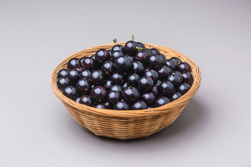 Jabuticaba