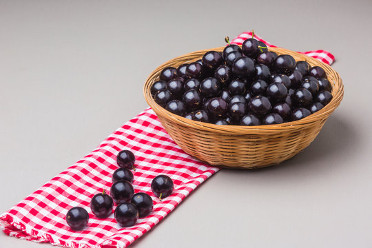 Jabuticaba