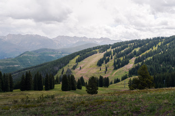 Landscape view of ski runs during the summer in Vail, Colorado. 