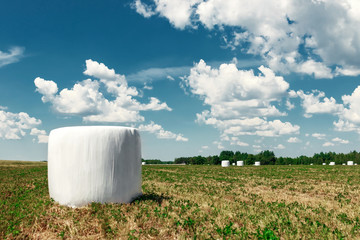 Agricultural landscape with straw packages on field. Cereal bale of hay wrapped in plastic white foil. Hay harvesting, grass harvesting. Season harvesting, grass, agricultural land.
