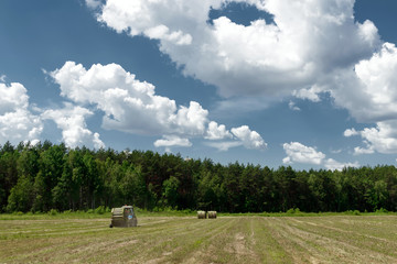Naklejka premium Agricultural machinery, a tractor collecting grass in a field against a blue sky. Hay harvesting, grass harvesting. Season harvesting, grass, agricultural land.