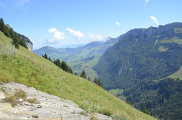 Fototapeta na wymiar Switzerland Mountains in Spring Appenzell