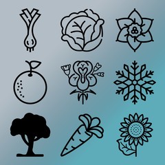 Vector icon set  about gardening with 9 icons related to carrot isolated, summer, sky, round and wooden