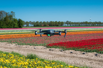 Fototapeta na wymiar Drone hovering over a tulip field