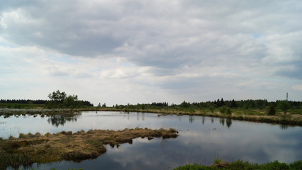 Highest Fens