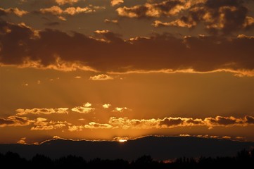 Sonnenuntergang am Wald