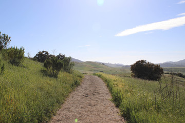 oad, landscape, sky, field, nature, grass, summer, blue, rural, green, tree, country, countryside, path, meadow, clouds, cloud, forest, land, horizon, outdoors, spring, trees, hill, way