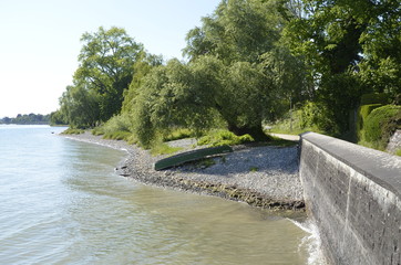 Fototapeta premium Boat under a Tree