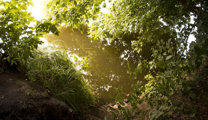 Obraz premium A small river flowing on a green meadow, a fresh summer morning