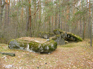 destroyed concrete bunkers in the forest.