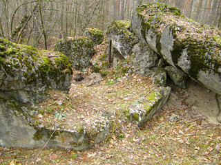 destroyed concrete bunkers in the forest.