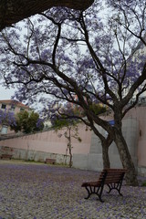 Purple Tree