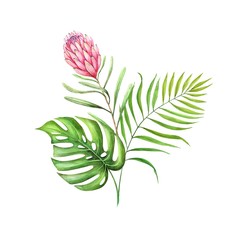 drawing of a watercolor of tropical leaves and flowers on a white background