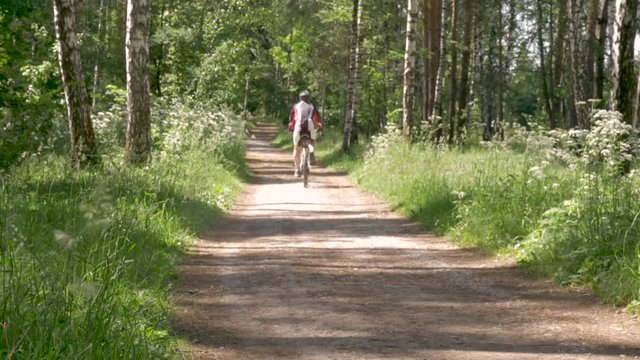 A man is riding a bicycle on a forest path. He leads a healthy lifestyle