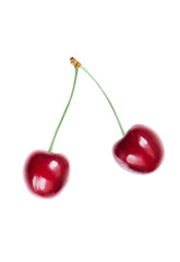 Ripe cherry isolated on a white background, closeup