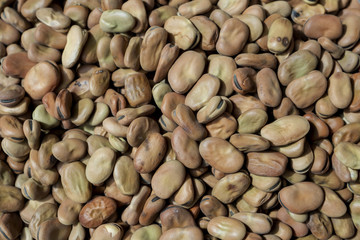 pile of broad beans, background