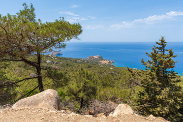 Fototapeta na wymiar Green pine trees on rocky coast on west side of Rhodes island, Greece