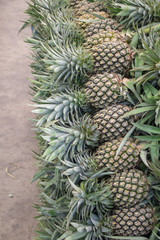 Pineapple background in the  local market in Thailand for sale.fresh pineapple from farm to the customer.