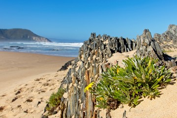 A landscape image of Nature's Valley beach in the Western Cape, South Africa. This is a popular...