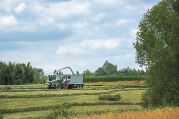 Agricultural vehicles harvesting mowed grass
