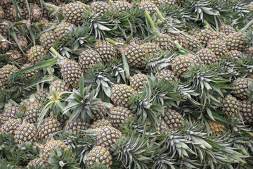 Pine apple in the market