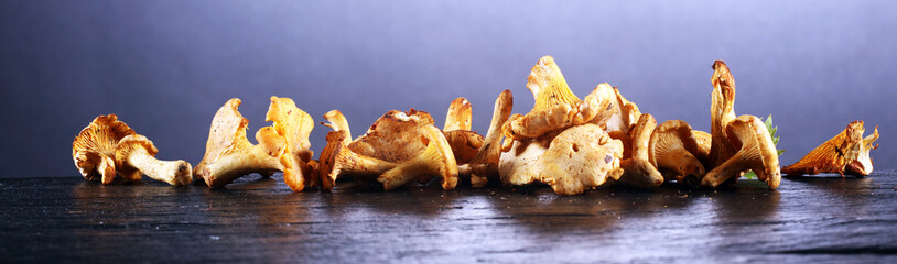 Mushrooms chanterelle on table. Raw wild mushrooms chanterelles. Composition with wild mushroom - obrazy, fototapety, plakaty