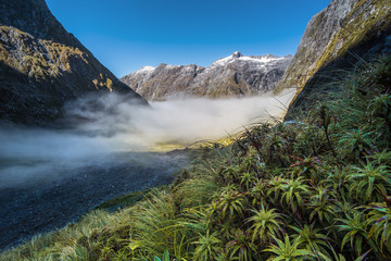 Gertrude Valley, Fiordland - Südinsel von Neuseeland