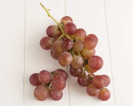 Grapes, pink and fresh, Vitis vinifera
