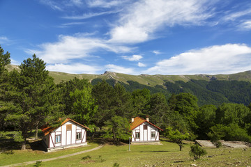 Fototapeta premium Beautiful cottages in the background of the mountains on a summer day