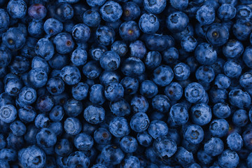 Fresh blueberry background. Texture blueberry berries close up.