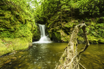 Wasserfall in Geroldsau bei Baden Baden