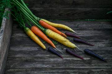 Colored organic carrots over rustic wooden background closeup. Top view