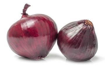 onions isolated on white background