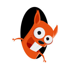 funny squirrel looking out of a hole © shockfactor