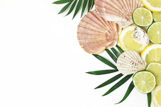 Composition of exotic seashells, oysters, lime and lemons on lush green palm leaves isolated on white wooden background. Tropical summer vacation and food concept. Flat lay, top view.