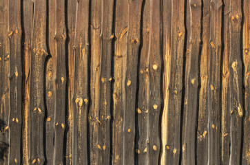 Colorful wood texture for background