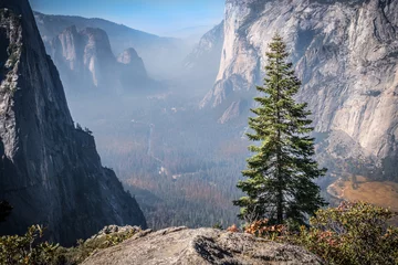 Foto auf Glas Yosemite Valley in the morning © Pawel