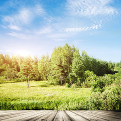 Obraz premium Autumn forest evening