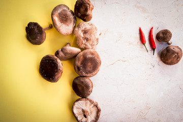 Mushrooms on a white and yellow background