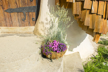 Flowers at an entrance