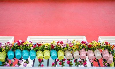 Flower pot on the balcony and red wall