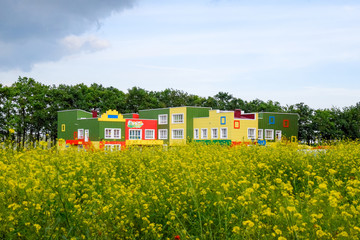 The building of a kindergarten behind a clearing of yellow flowers.