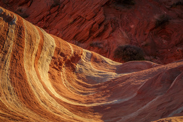 Red Rock Wave Valley of Fire
