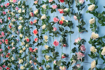Strings of pink and white artificial roses hanging against a wall painted baby blue.