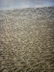 Ripples in the sand at low tide